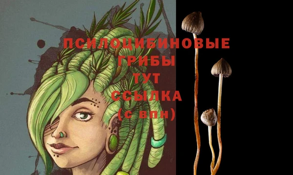 спиды Белоозёрский