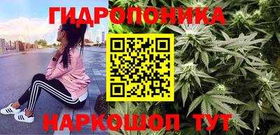 ешки Дубна