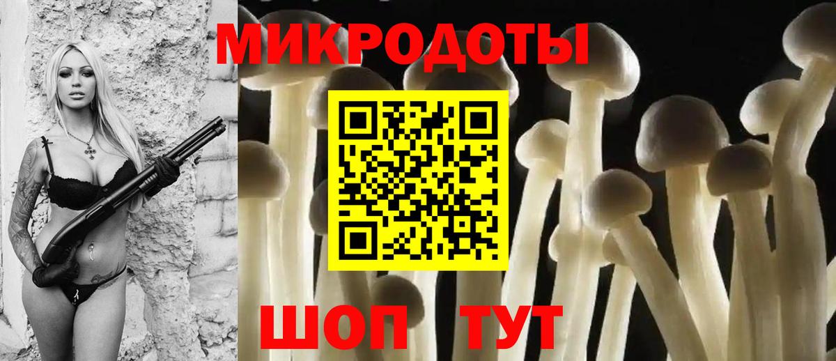 Псилоцибиновые грибы мухоморы  где купить наркоту  Вятские Поляны  Вход с VPN  Псилоцибиновые грибы GOLDEN TEACHER 