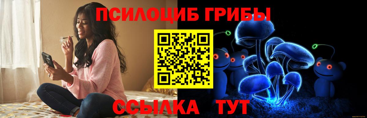 Псилоцибиновые грибы Magic Shrooms Вятские Поляны